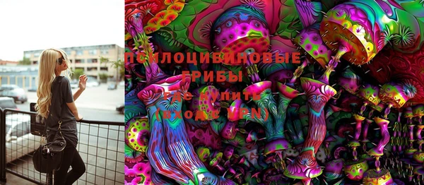 гидра Белоозёрский