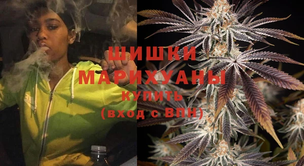 шишки Балахна