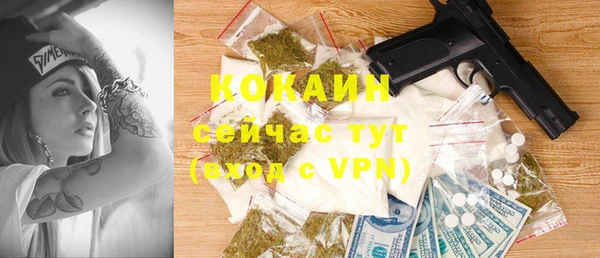 шишки Балахна