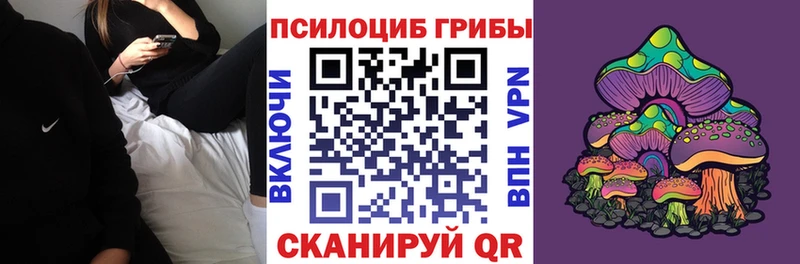Галлюциногенные грибы MAGIC MUSHROOMS Купить Новосиль